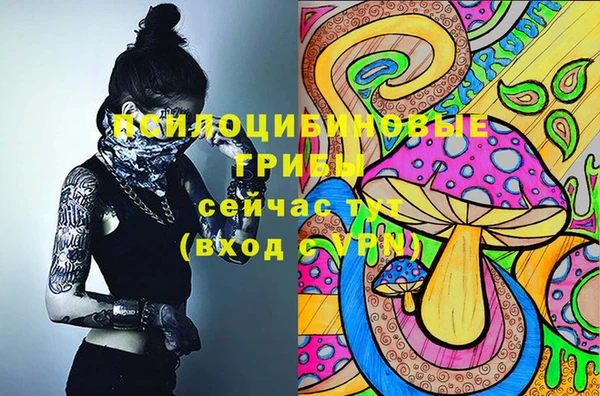 2c-b Алексеевка